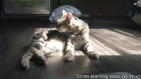 Booker Baxton online show from 12.02.25