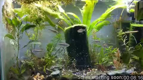 Booker Baxton online show from 12.23.25