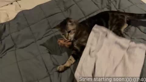 Booker Baxton online show from 01.10.26