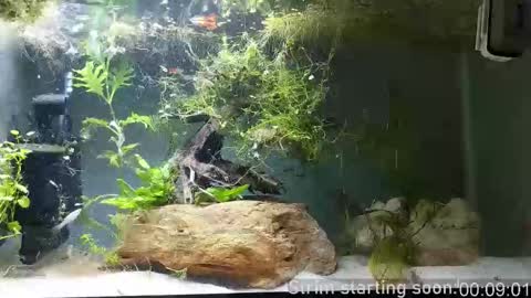 Booker Baxton online show from 02.22.26