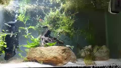 Booker Baxton online show from 03.25.26