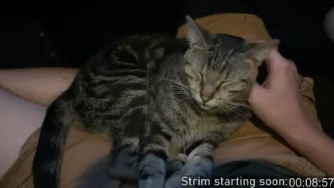 Booker Baxton online show from 04.14.26