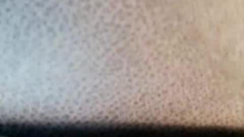 Boolika online show from 03.11.25