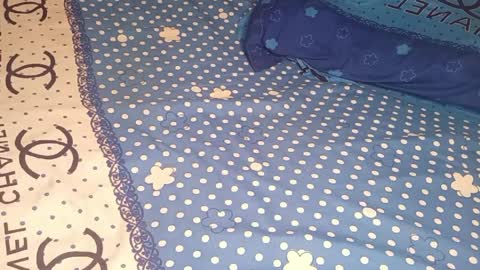 bossetassy online show from 04.10.26