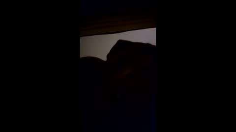 bottomready3 online show from 03.13.26