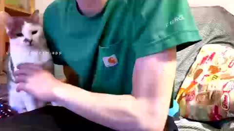 Boubou online show from 03.12.26