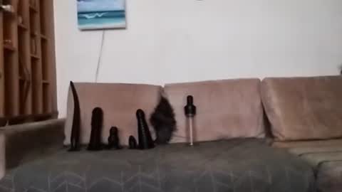 Bes7assquirt online show from 01.31.25