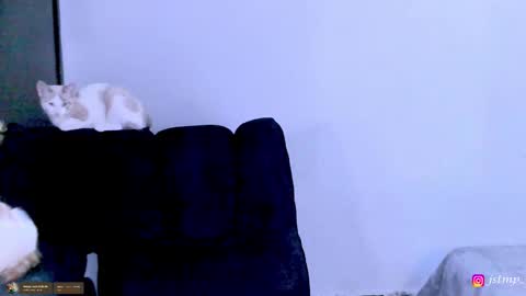 miguel  online show from 11.24.25