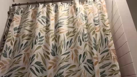 boysetsfire34 online show from 03.13.26