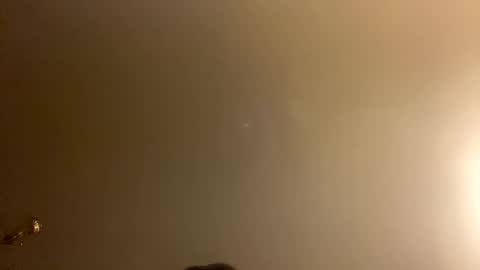 Brain Ortega online show from 02.28.26