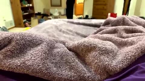 Snapshot of brandondot chatting on 12.16.24 brandondot online show from 12.16.24