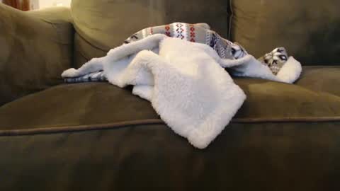 Snapshot of brandondot chatting on 12.31.24 brandondot online show from 12.31.24