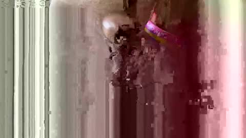 brewfan65 online show from 10.24.25