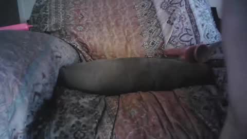 Snapshot of bri20fu chatting on 04.29.26 raining down on me online show from 04.29.26