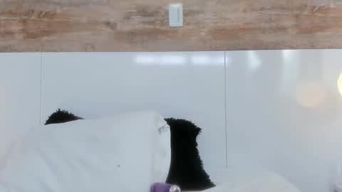 brianna_beltran online show from 04.12.26