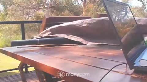 Fun Monster online show from 10.10.25