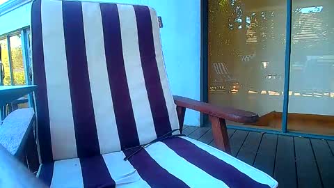 Fun Monster online show from 02.20.26