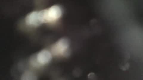 Snapshot of britishboss2 chatting on 04.09.26 britishboss2 online show from 04.09.26