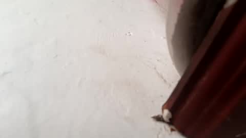 Brittany  online show from 11.23.25