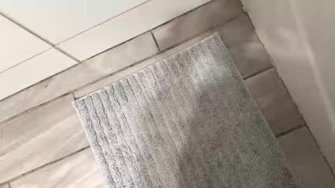 brownboyli online show from 03.02.26