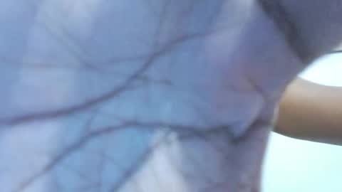 Snapshot of brownguy2505 chatting on 01.19.26 brownguy2505 online show from 01.19.26