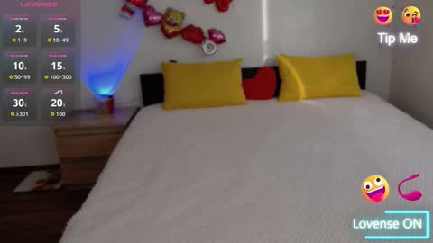 Snapshot of brunettgirl_ chatting on 10.01.25 Ellis online show from 10.01.25