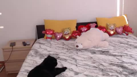 Snapshot of brunettgirl_ chatting on 02.03.26 Ellis online show from 02.03.26