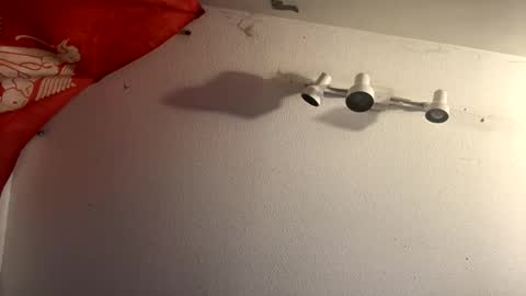 buckoykang online show from 02.14.25