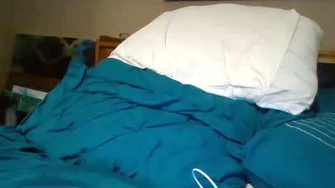 Bud42o online show from 12.11.24