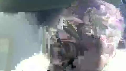 Casey online show from 02.14.26