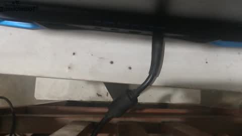 buldgeinboxer online show from 01.18.26