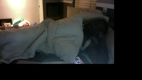 Bungalow Entertainment online show from 12.17.25