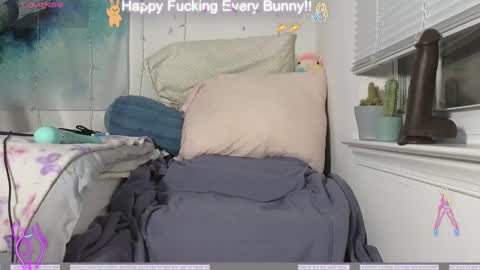 Snapshot of bunnycheekz chatting on 12.04.24 Tokki bunny online show from 12.04.24