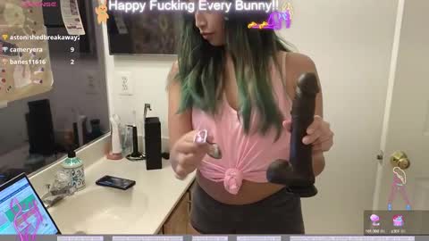 Snapshot of bunnycheekz chatting on 12.05.24 Tokki bunny online show from 12.05.24