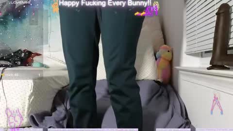 Snapshot of bunnycheekz chatting on 12.12.24 Tokki bunny online show from 12.12.24