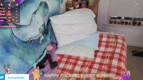 Snapshot of bunnycheekz chatting on 11.21.25 Tokki bunny online show from 11.21.25