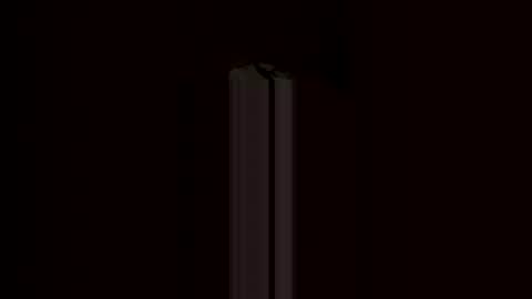 Burkemeister online show from 04.23.26