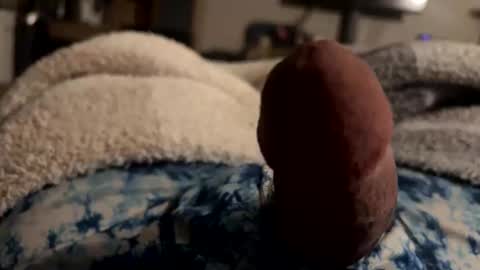 Snapshot of byrdbean chatting on 01.17.26 byrdbean online show from 01.17.26