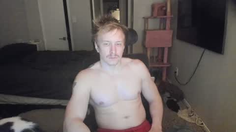 c00ki3m0nstr online show from 06.19.26