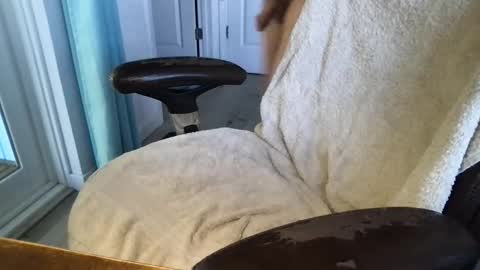 Snapshot of cals16 chatting on 03.18.26 cals16 online show from 03.18.26