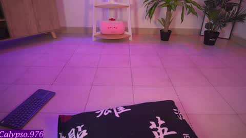 Snapshot of calypso_and_ge1 chatting on 02.04.25 Calypso and Kayla online show from 02.04.25