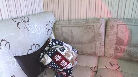 Cameron online show from 01.17.25