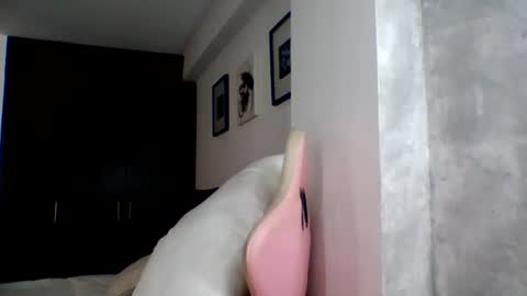 Snapshot of camilagomez_ch chatting on 06.23.26 camilagomez_ch online show from 06.23.26
