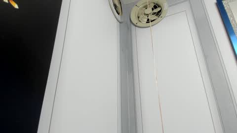 Camila  online show from 12.24.24