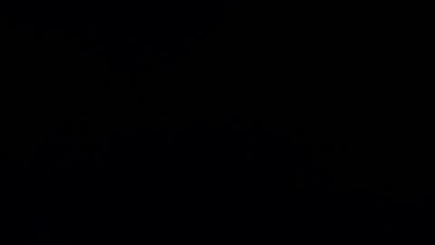 camilio96 online show from 12.12.24