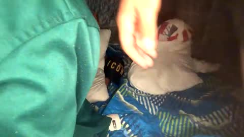 camivaron online show from 01.13.25