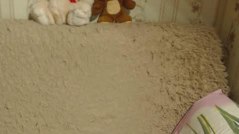 say meow and send tip  online show from 12.13.24