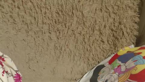 say meow and send tip  online show from 02.14.25