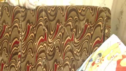 say meow and send tip  online show from 03.02.25