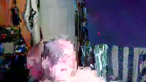 Snapshot of canoelicker69 chatting on 10.31.25 canoelicker69 online show from 10.31.25